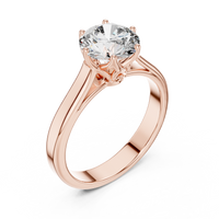 Classic Round Solitaire Cathedral Engagement Ring