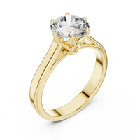 Classic Round Solitaire Cathedral Engagement Ring