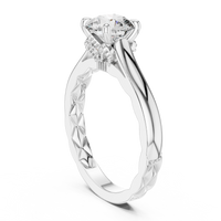 Round Solitaire Cathedral Engagement Ring